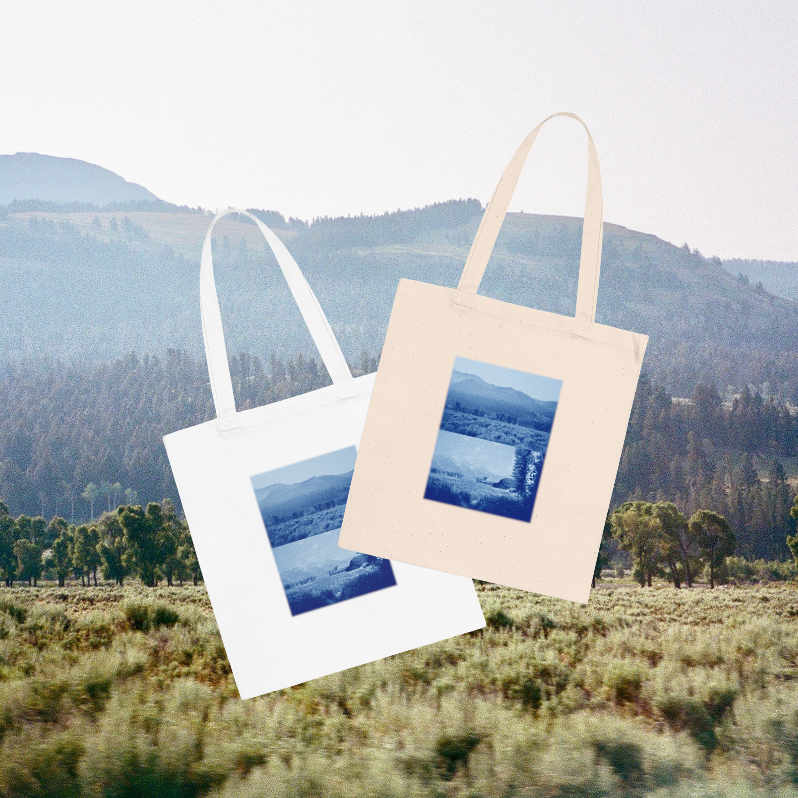 Sun Print Collection